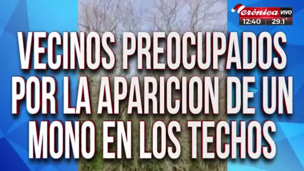 Crónica HD