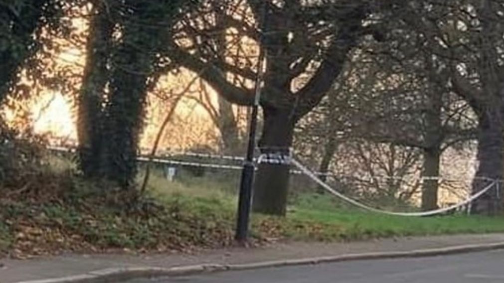 El parque donde una mujer fue violada por dos personas, entre ellas una de 13 años