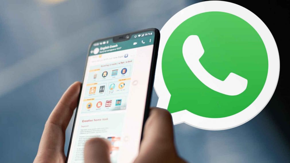 Seguí el paso a paso para saber con quién se habla más en WhatsApp.