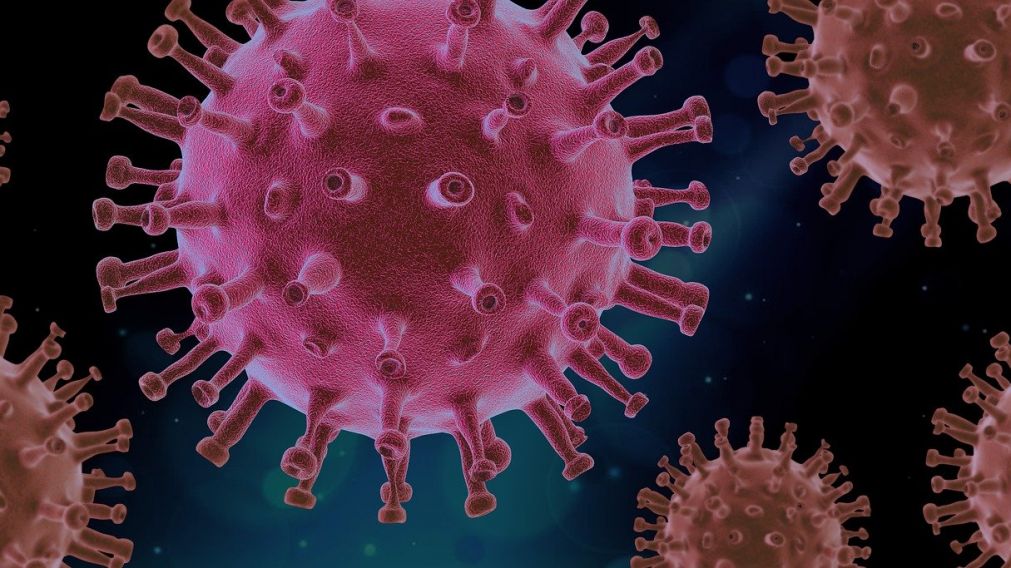 Pandemia de coronavirus hoy