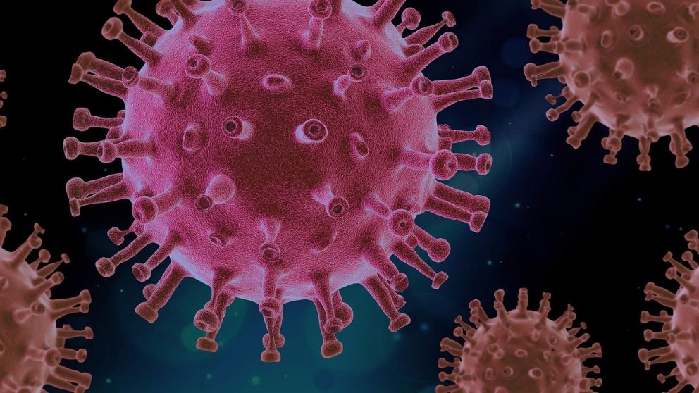 Pandemia de coronavirus hoy
