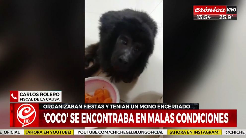 Crónica HD