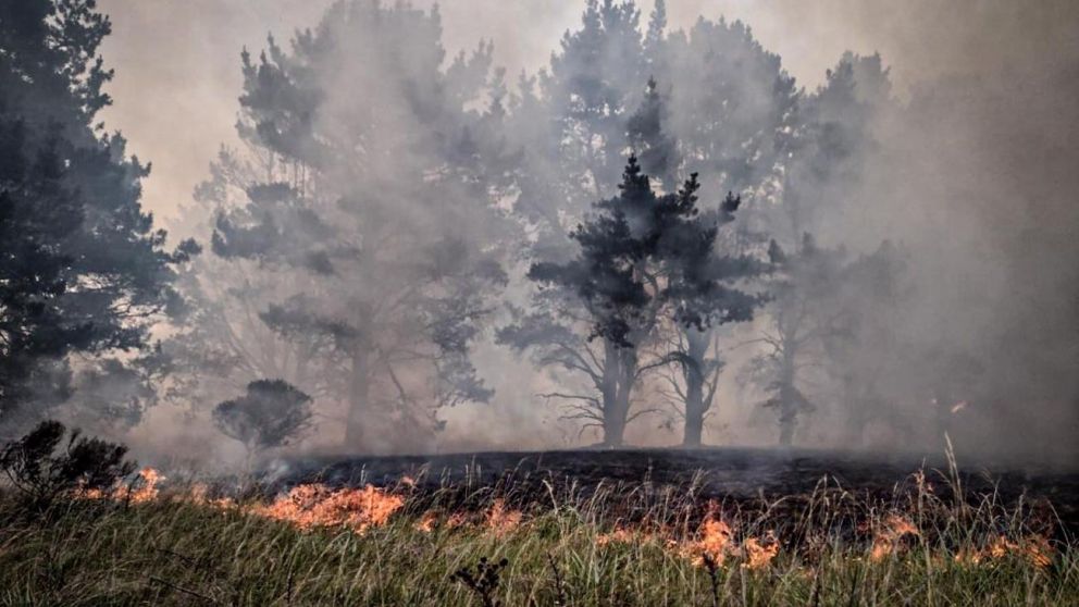 M�s de 100 hect�reas fueron consumidas por el fuego (Twitter).