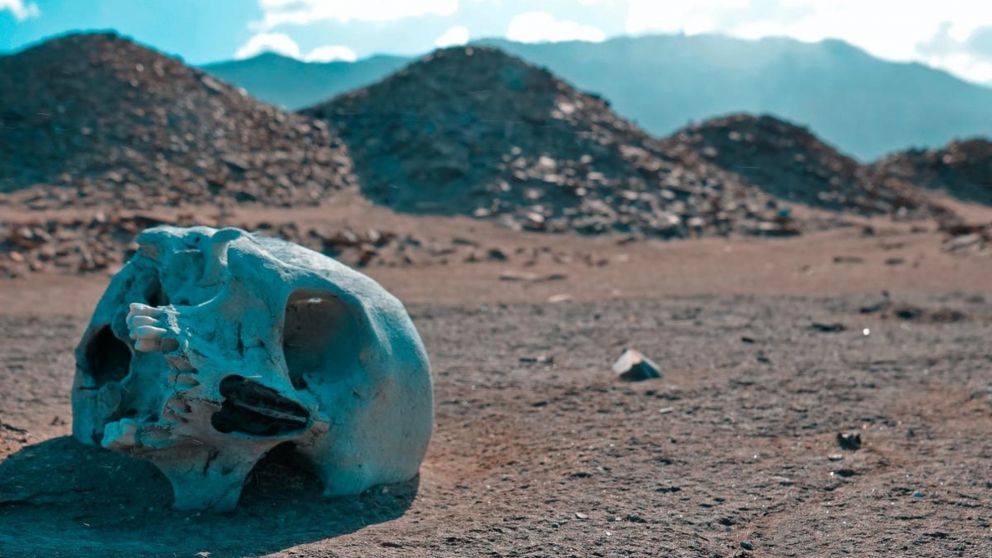 Calentamiento global, crisis econ�mica y subpoblaci�n ser�an las causas principales de la extinci�n, explic� el cient�fico.