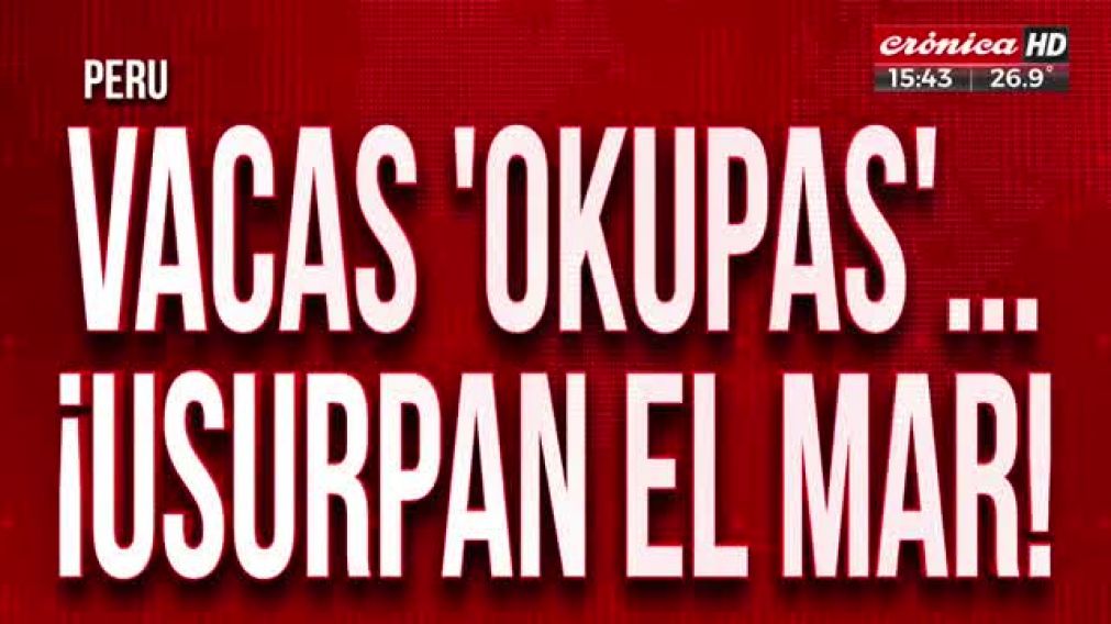 Crónica HD