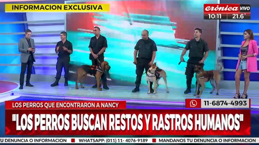 Los tres perros especializados en la búsqueda de personas que trabajaron en la búsqueda de Nancy Videla (Crónica HD).