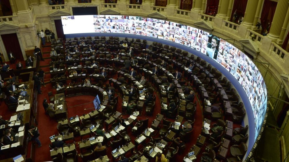 Protocolo activado en el Congreso y presentación de amparo de la oposición. (Pérez Re/Crónica)