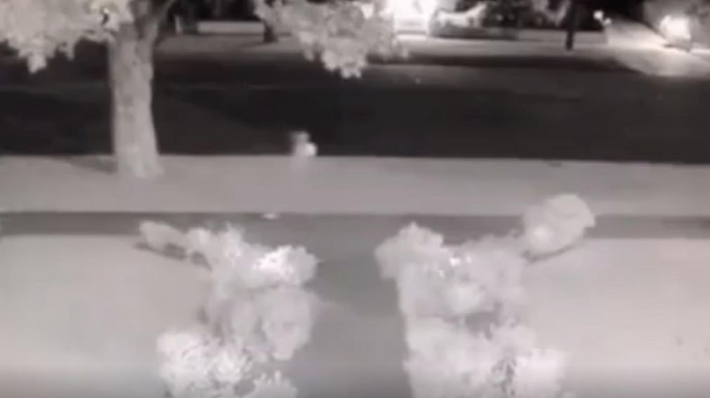 El fantasma sería de un vecino de Long Island (Captura de video).