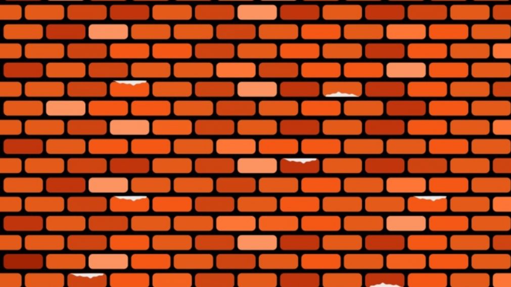 En este reto viral deberá encontrar en menos de 10 segundos a los tres ladrillos que están rotos.