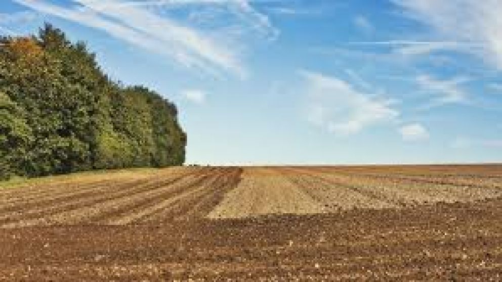 La inscripción al curso virtual permanecerá abierta hasta el 15 de noviembre.