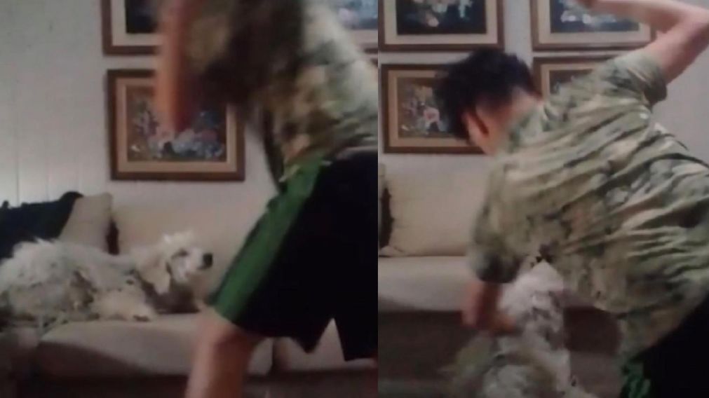 El adolescente, de 16 años, se mostró orgulloso de maltratar a su mascota y lo compartió en sus redes (Captura del video).