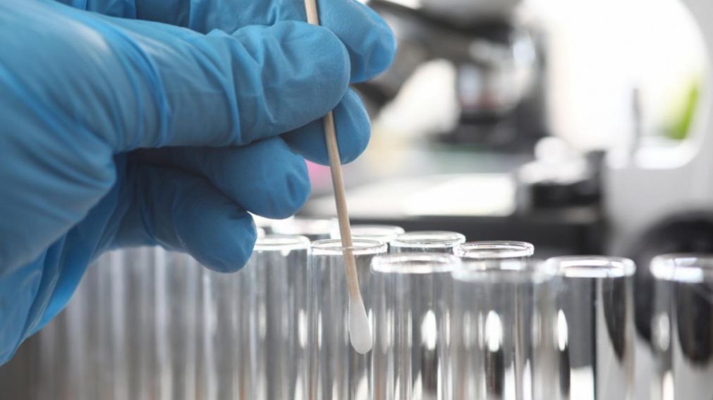 El test un test permitir�a detectar en muestras de �rganos, orina o sangre la bacteria que causa la leptospirosis, 