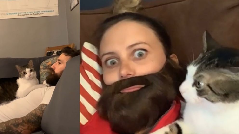 El truco de esta dueña para llamar la atención de su gato se volvió viral en TikTok.