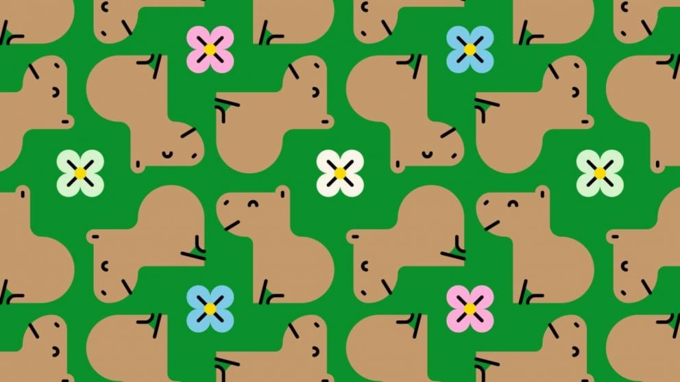 En el reto viral de hoy, se deberá encontrar en menos de 10 segundos a los dos carpinchos que están enojados.