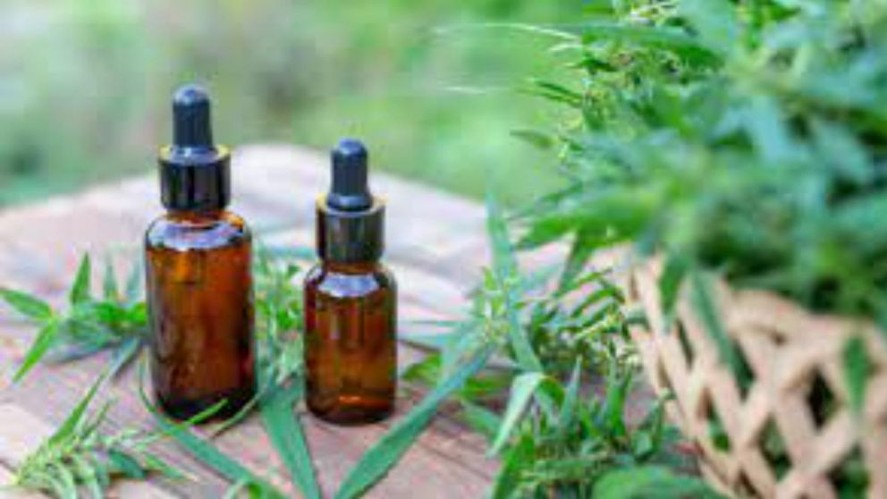 Para la Corte, hubo cambios normativos suficientes para dar vuelta el fallo preliminar en contra de la petici�n.