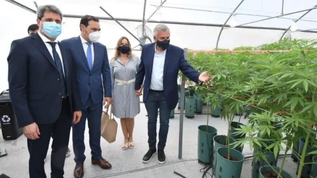 Gerardo Morales estuvo en la inauguración del Complejo de Biotecnología destinado a la producción de cannabis medicinal.