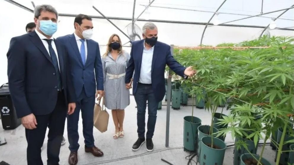 Gerardo Morales estuvo en la inauguraci�n del Complejo de Biotecnolog�a destinado a la producci�n de cannabis medicinal.