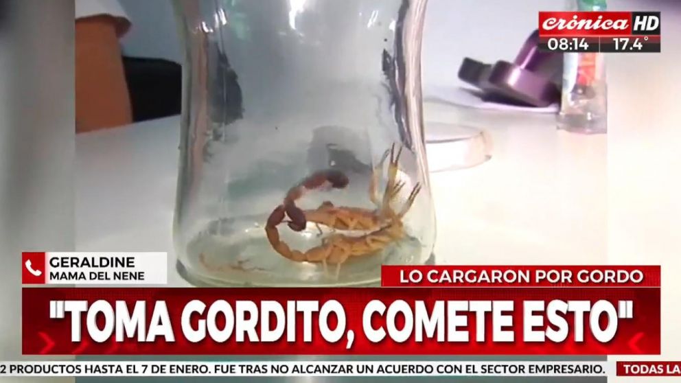 Un nene de 8 años fue atacado por sus compañeros de escuela en Córdoba (Crónica).