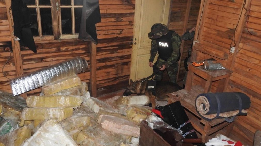 Tras megaoperativo secuestran casi 5 toneladas de marihuana.