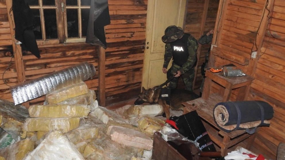 Tras megaoperativo secuestran casi 5 toneladas de marihuana.