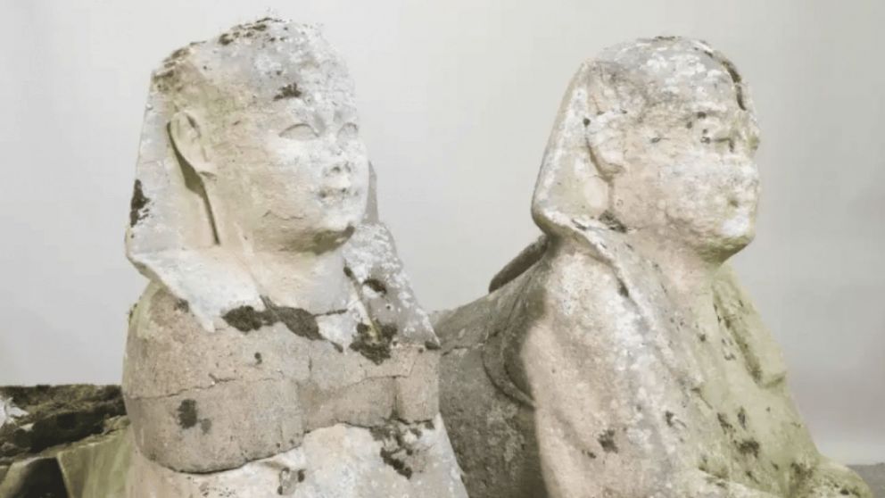 Miden un metro y sus antiguos due�os no las dejaron en un estado �ptimo. 