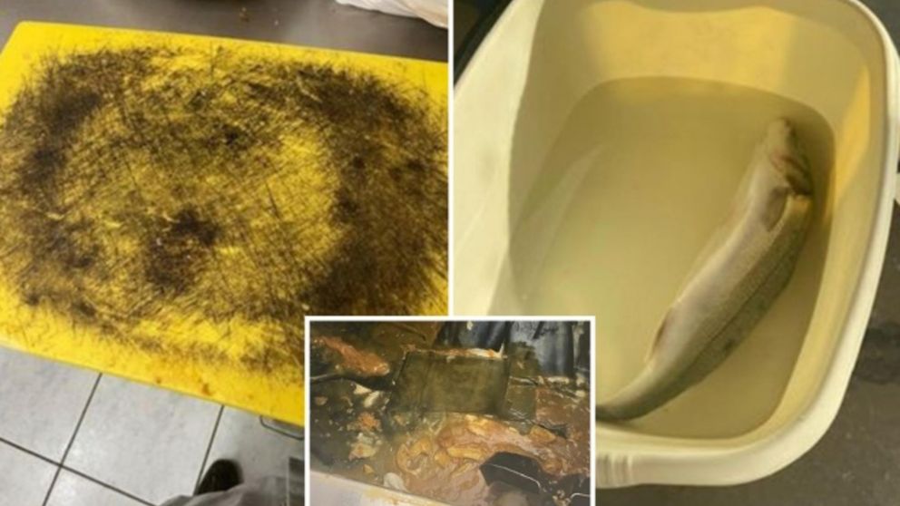 Los inspectores salieron "horrorizados" del restaurante al ver las condiciones de higiene.
