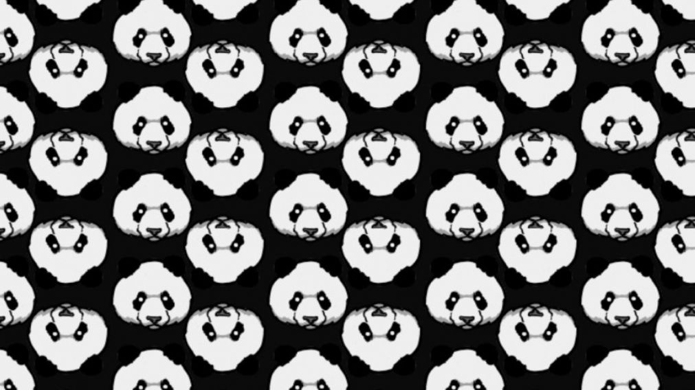 En este reto viral hay que encontrar en menos de 10 segundos a los tres osos polares que están camuflados entre los pandas.