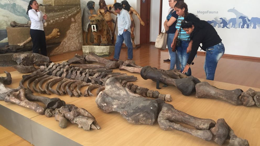 El hallazgo de hombres gigantes en Ecuador viene ocurriendo desde hace años (Archivo).
