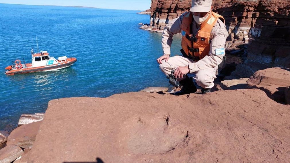 Huellas de dinosaurio en la Patagonia: as� fue el hallazgo.
