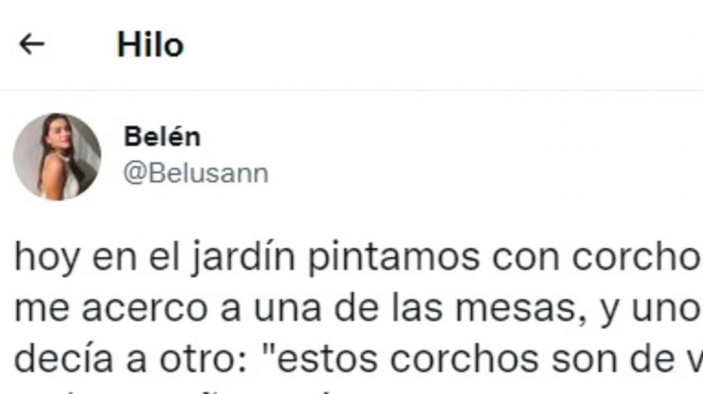 La 'seño' Belén llevó corchos para pintar y uno de sus alumnos llegó a una brillante conclusión.