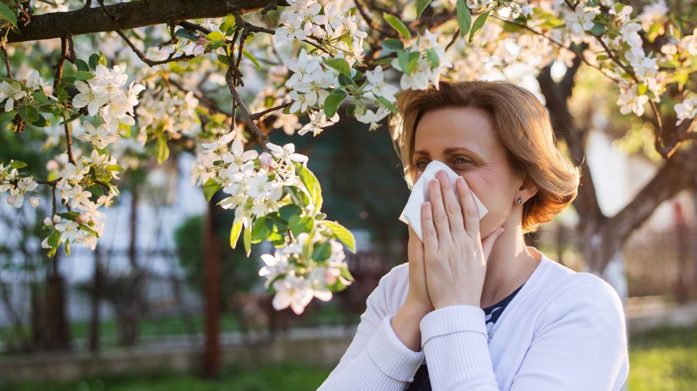 La alergia estacional y la Covid-19 pueden causar síntomas similares. Sin embargo, existen algunas diferencias que ayudan a diferenciar el diagnóstico.