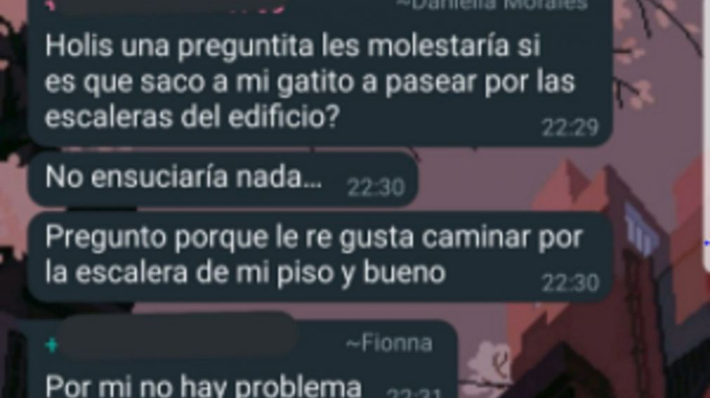 El chat se hizo viral y los internautas ya quisieran mudarse al edificio.