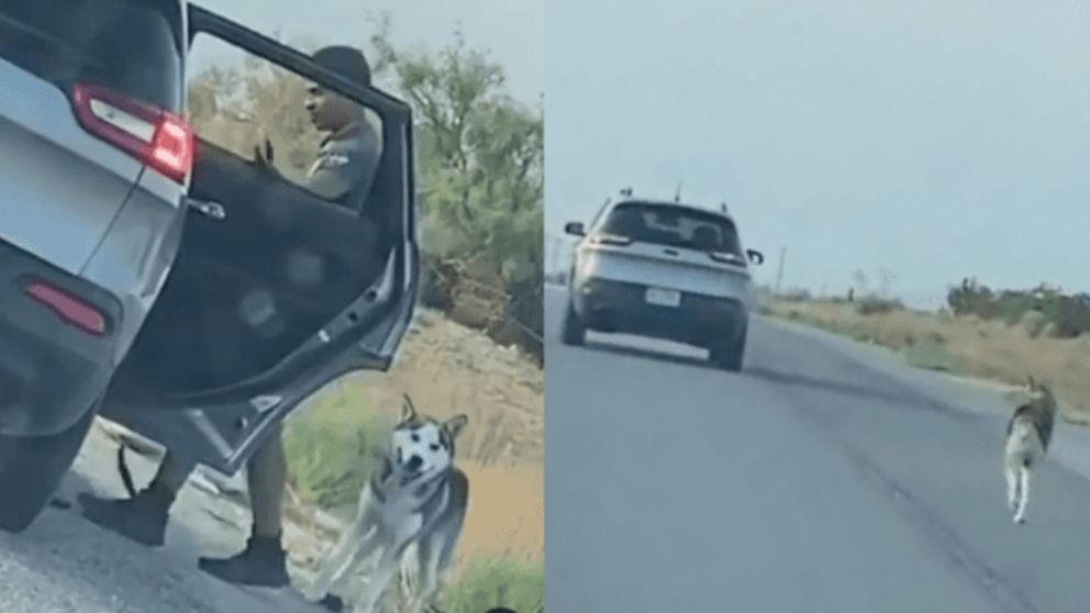 Así fue el doloroso momento en el que el perro fue abandonado por su dueño (Captura de pantalla).