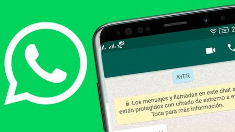 Así se ve tu nombre de usuario de WhatsApp con este truco.