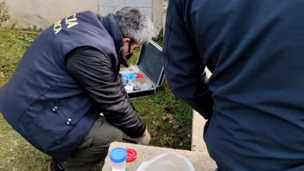 La Policía investiga si se trata de restos humanos y a quién pertenecía.