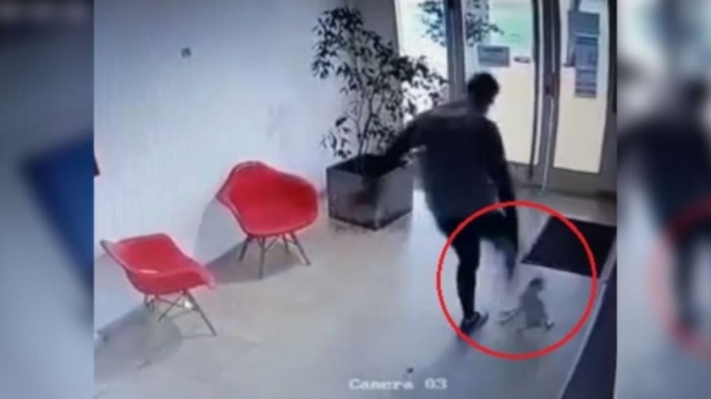 El momento del ataque a la perrita Mia.