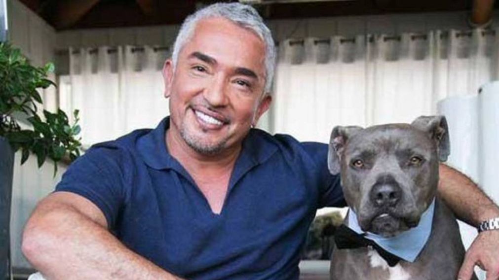 El encantador de perros denunciado.