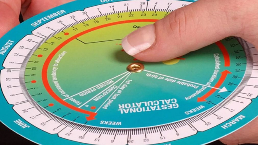 La calculadora de embarazo ayuda a calcular nuestra fecha de parto y evaluar el desarrollo del bebé.