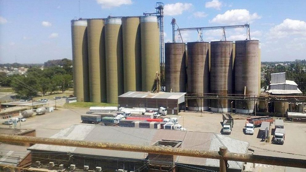 Molino Cañuelas busca preservar 3.000 fuentes de trabajo.