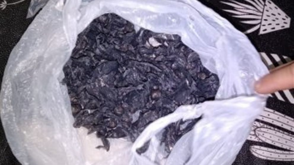 En el lugar del crimen se hallaron restos de nylon, de los usados para fraccionar drogas.
