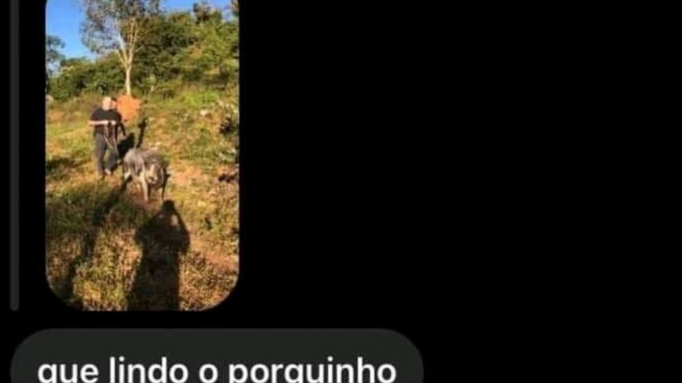 Compartió en Twitter una captura de pantalla de una conversación de Instagram y se volvió viral.