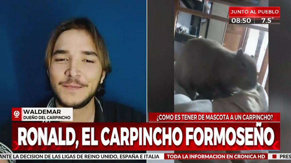 Cr�nica HD