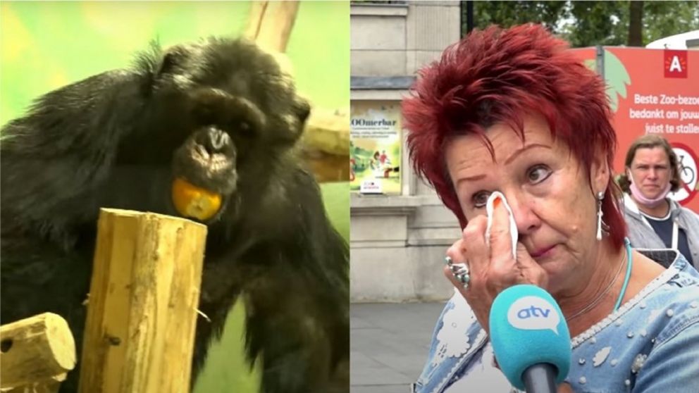 Le dijeron que no podía volver a ingresar al zoológico por su "relación cercana" con el mono.