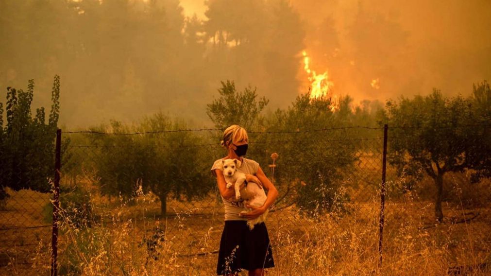 Calentamiento global: la desaventura del hombre.