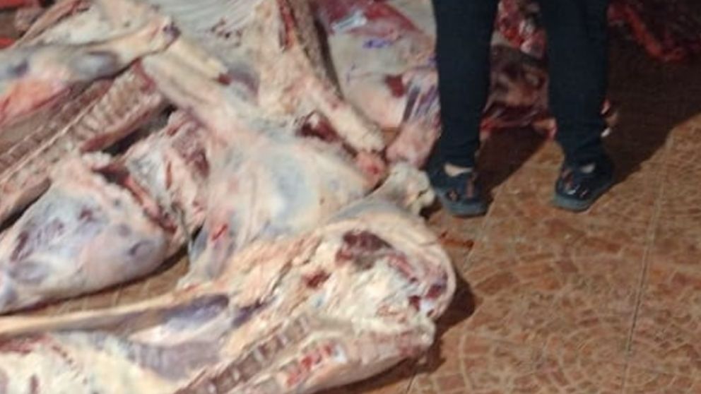Parte del cargamento de carne vacuna que fue recuperado por los efectivos policiales.