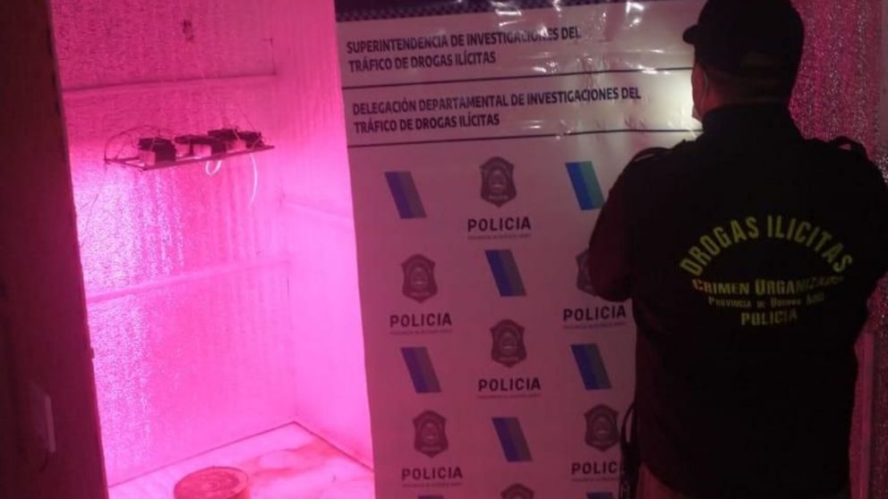 Para cultivar marihuana tenía una cabina adaptada en su casa.