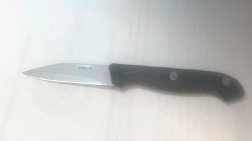 Detienen a mujer con cuchillo que esperaba a  Alberto Fern�ndez en un vacunatorio para atacarlo.