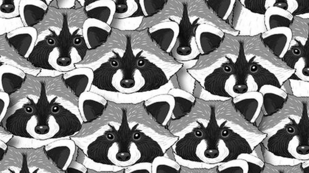 Reto viral: ¿Podés hallar al oso panda? Solo 1 de cada 10 personas puede superarlo.