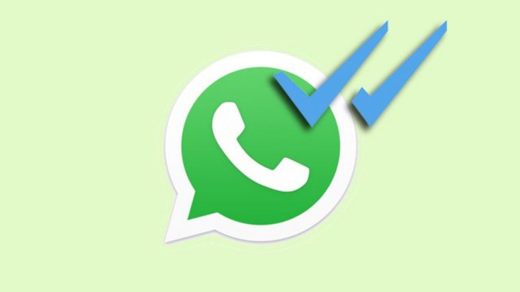 WhatsApp: así podes saber si vieron tu mensaje aunque desactiven el doble tilde azul (imagen ilustrativa).