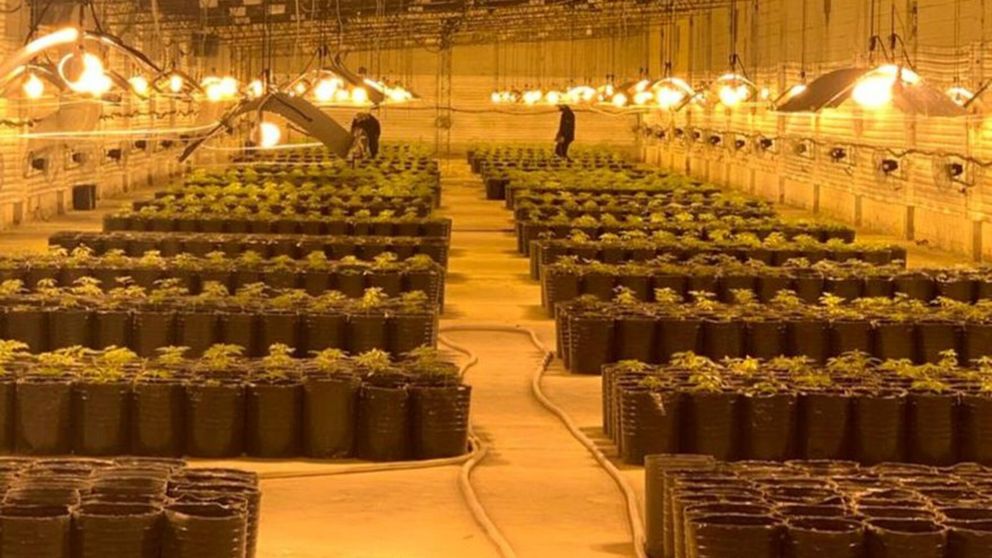 Uno de los galpones en los que se cultivaba la marihuana.